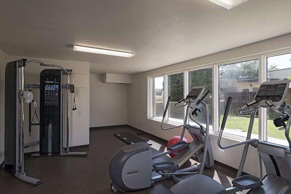 Health club  fitness center  gym