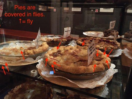 Pies with flies