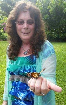 A Butterfly landed on my hand