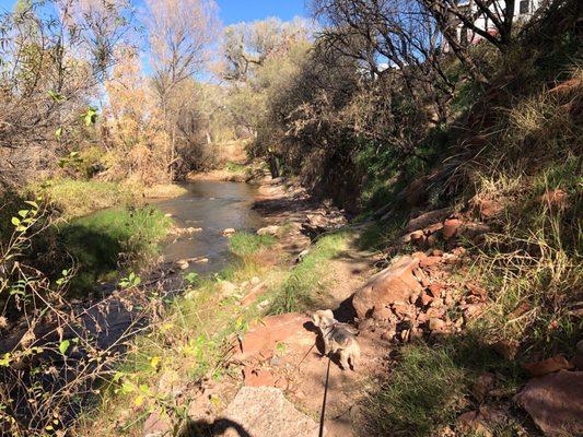 Verde River walking path in RV Park