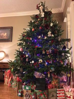 Our family Christmas tree, an 11-foot Frasier fir purchased at Motley's! We love it!!