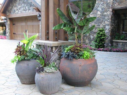 Designer's style! Group 3 patio pots for a pleasing and interesting display. Add a variety of foliage. Voila! Impressive.