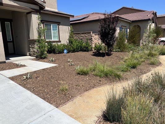 Front yard with new mulch.