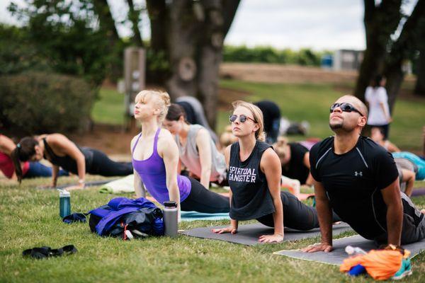 The best annual event:  Vinyasa in the Vineyards!