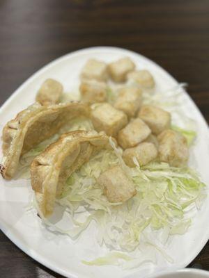 Dumpings & Fried Tofu