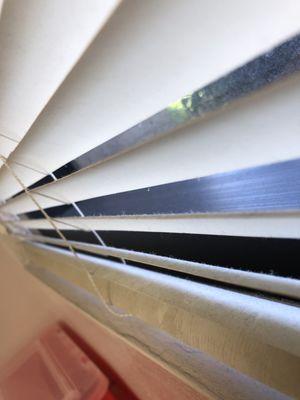 Dusty blinds