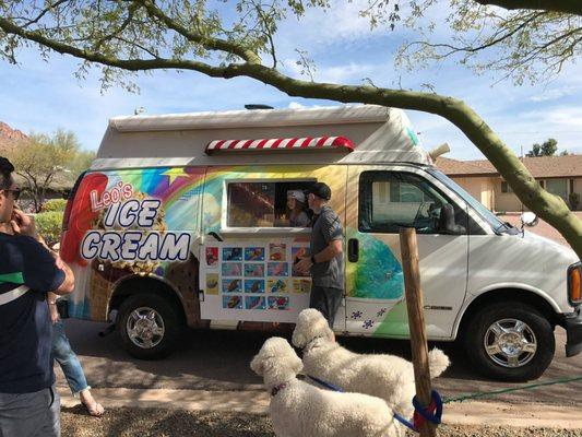 Dogs love ice cream too!