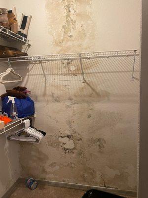 Mold & water Damage