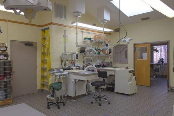 Operating tables at Park Veterinary Hospital & Urgent Care