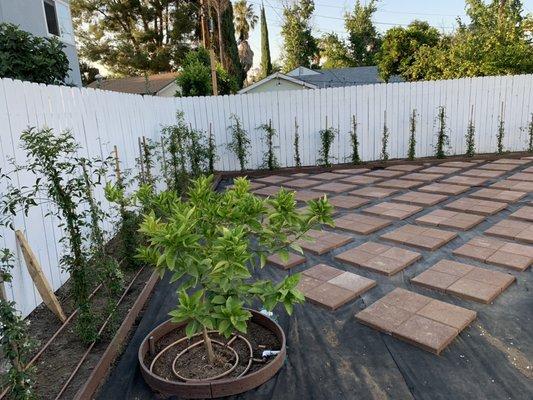 Landscaping design