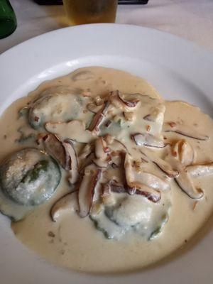 Spinach ravioli in a mushroom cream sauce