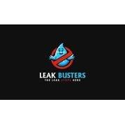 Leak Busters Plumbing