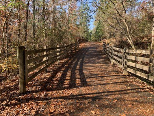 11.26.20; Hillsboro Trail - Helena AL