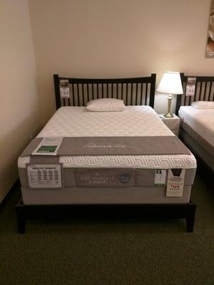 The new Tempurpedic Flex!