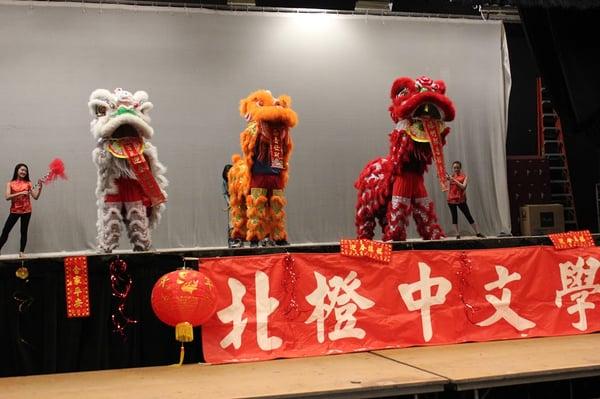 Chinese New Year Celebration