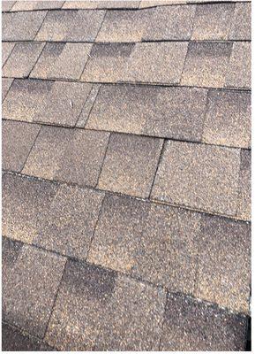 The architectural shingles are not only much more attractive than our old, basic ones, but much more durable, as well.