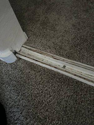 Closet Door Track. All those stains, is from cat urine and feces