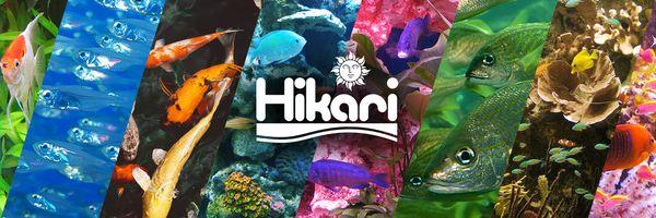 Hikari® Header