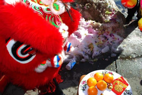 Chinese New Year Lion dancing