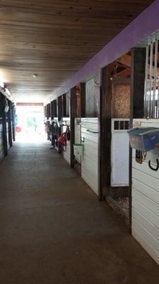 Main barn stalls