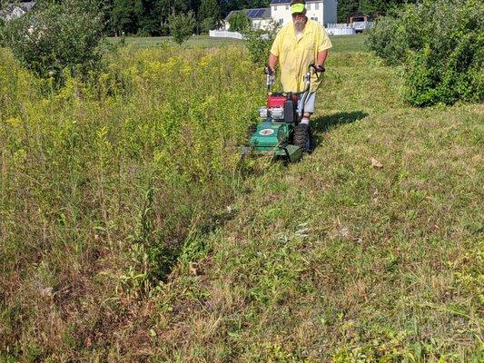 Brush mowing a field.