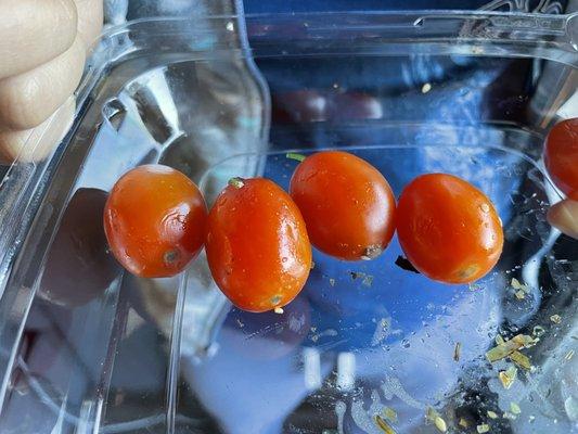 Moldy tomatoes