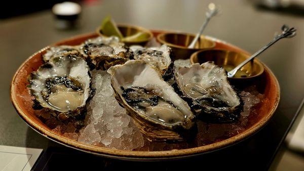 half dozen oysters on the half shell