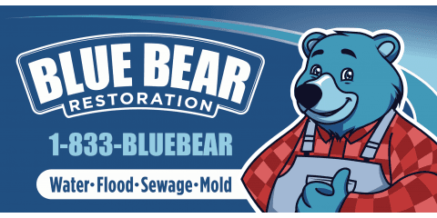 Blue Bear Restoration