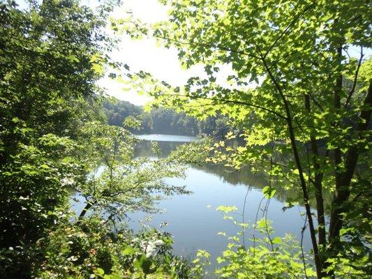 Lake Vesuvius Recreation Area