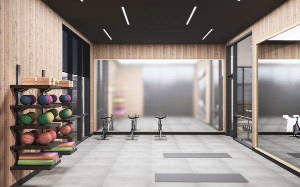 Yoga studio with mirrors, mats and exercise balls.