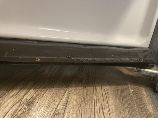 Roaches getting squished by the refrigerator door.