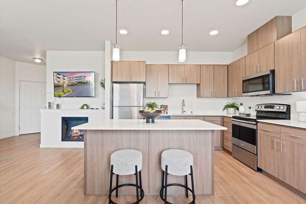 Modern Kitchen