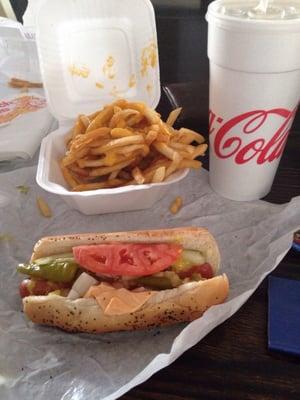 American Cheese dog Chicago style , cheese fries and drink !