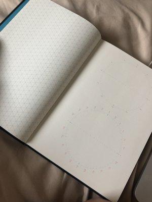 Grids and Guides Notebook