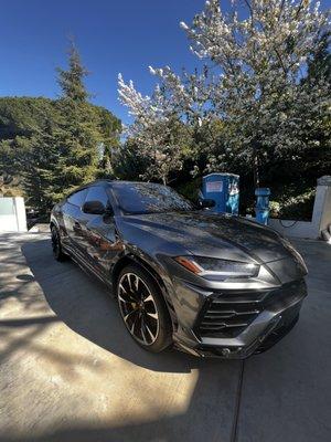 Lamborghini urus full detail