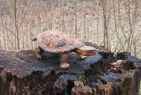 Wood carving of turtle with charring effects.