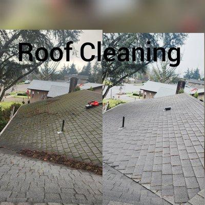 Roof cleaning in Eugene Oregon.