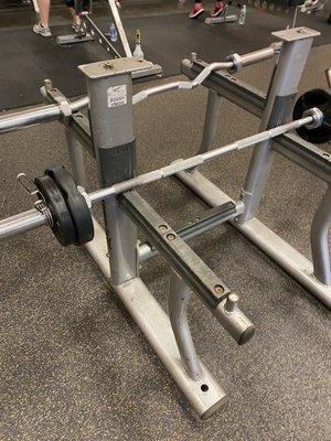 Broken preacher curl for months.