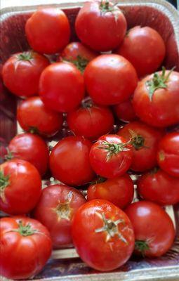 Yummm! My yearly fix of tomatoes