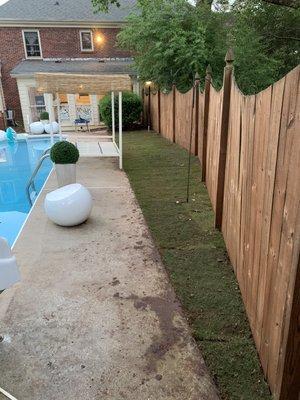 Sod Installation