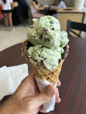 Fresh Mint Ice Cream with Chocolate Waffle Cone