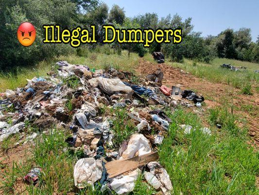 Illegal dumping clean up & haul away.