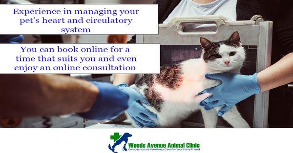 A trustworthy cardiologist in Oceanside NY for your cat or dog.