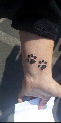 Dog paws on wrist