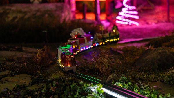 River of Lights at ABQ BioPark & Botanic Garden