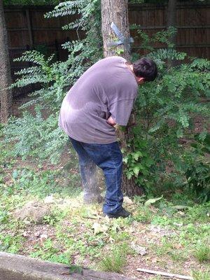 Keegan cutting the trees