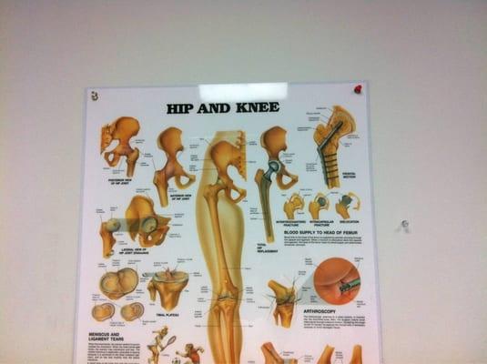 Hip and knee