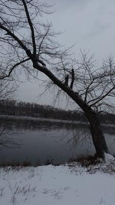 Cold 18° and rather bleak on the river.