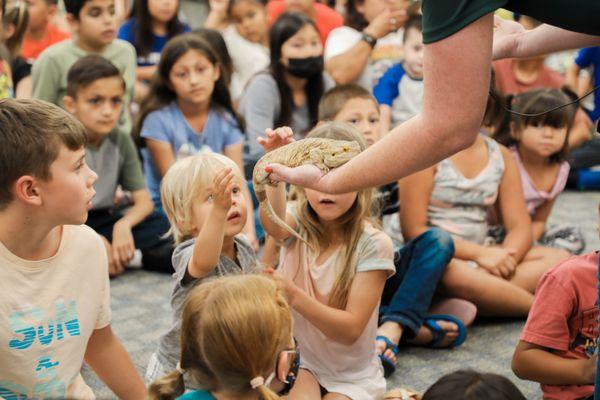 Library Reptile Show