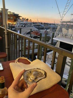 Oysters with a view